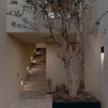 Estudio IPA house