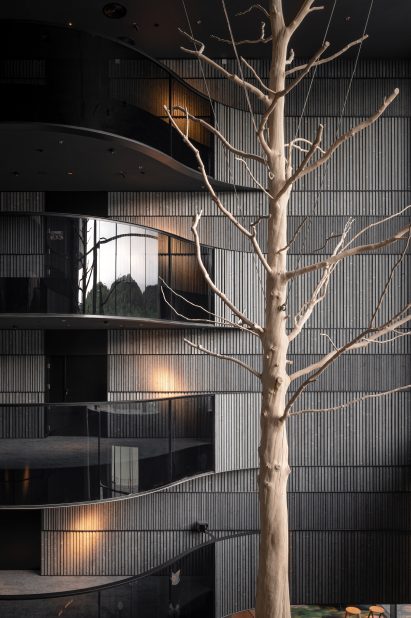 Tree suspended in Thermory wood-clad atrium