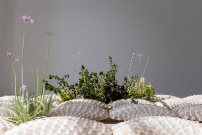 Modular mycelium panels