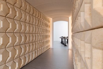 Mycelium wall panels