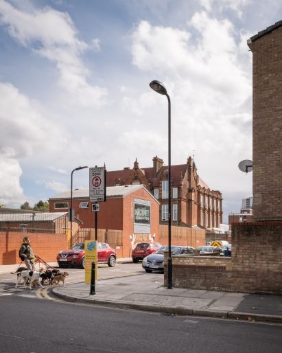 Dog walker on street in Hackney