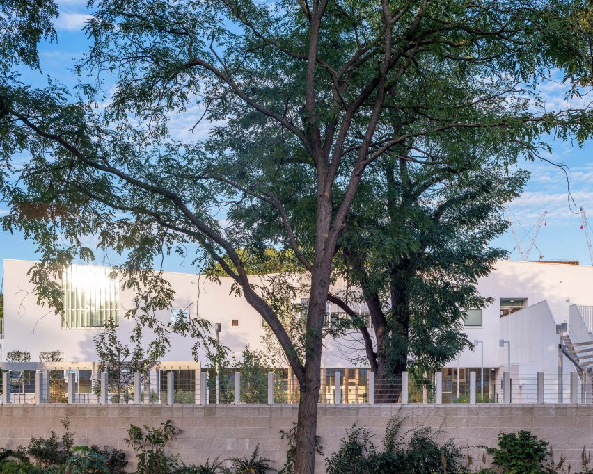 Hayhurst & Co designs London school with a "landscape sensibility"