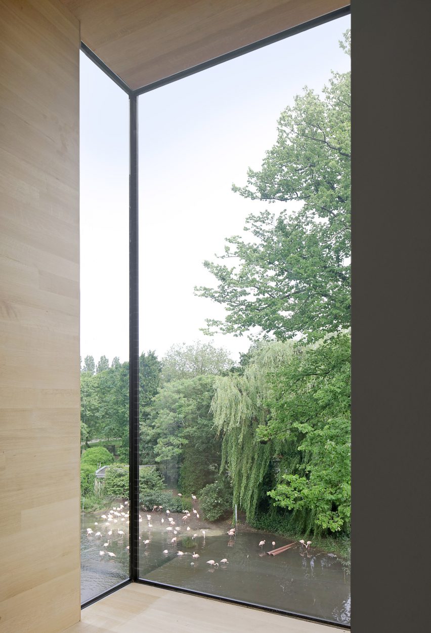 Merk X references nature for renovation and extension of Amsterdam's Groote Museum
