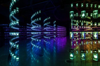 A digital library of organisms