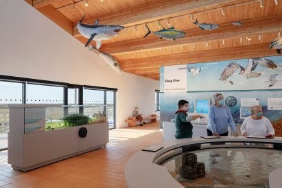 n'ARCHITECTS continuous gallery
