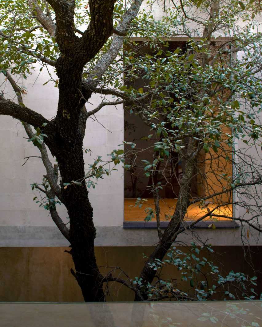 Los Cabos by P+0 Arquitectura