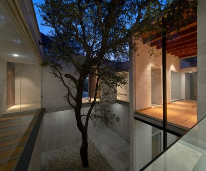 A tree in the centre of a house courtyard