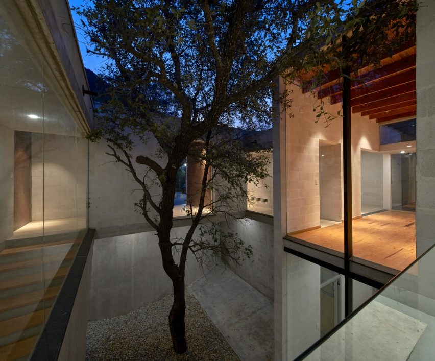 A tree in the centre of a house courtyard