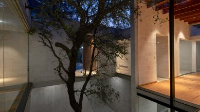 A tree in the middle of a house