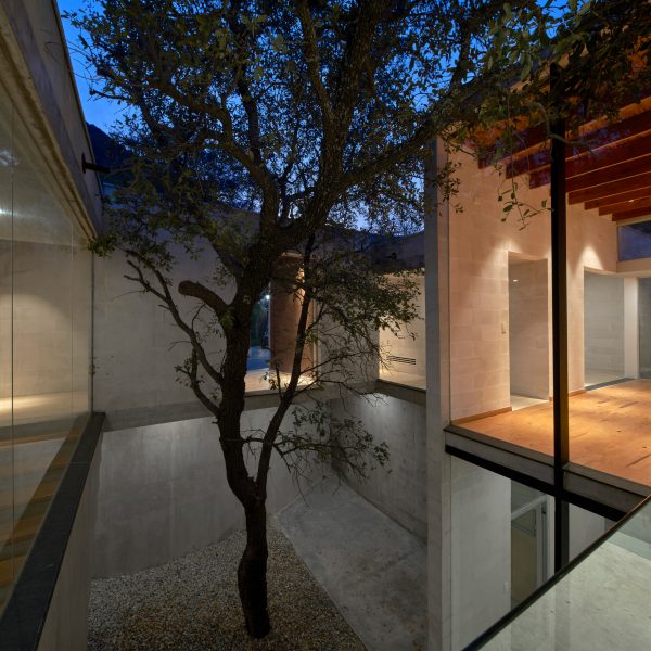 A tree in the middle of a house