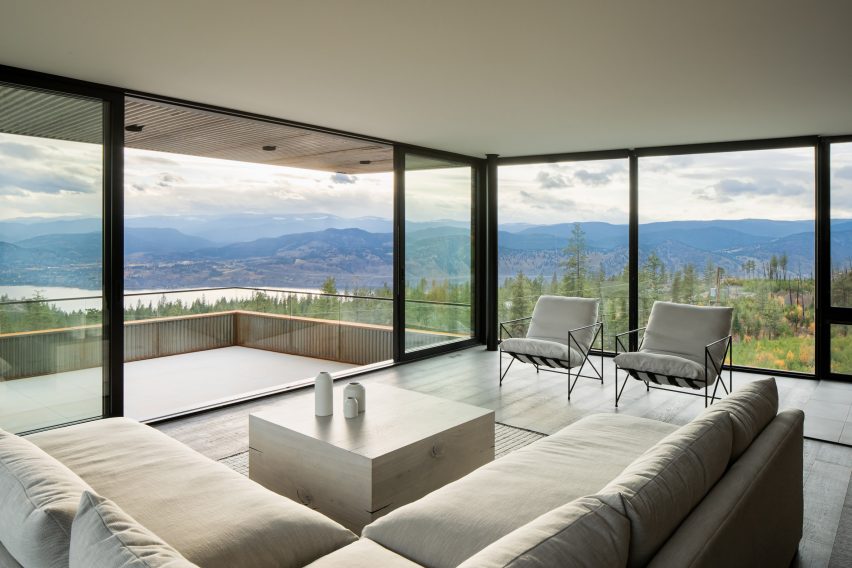 Mountain Beetle