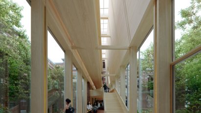 Interior render of the wood-lined extension at The Natural History Museum of Lille