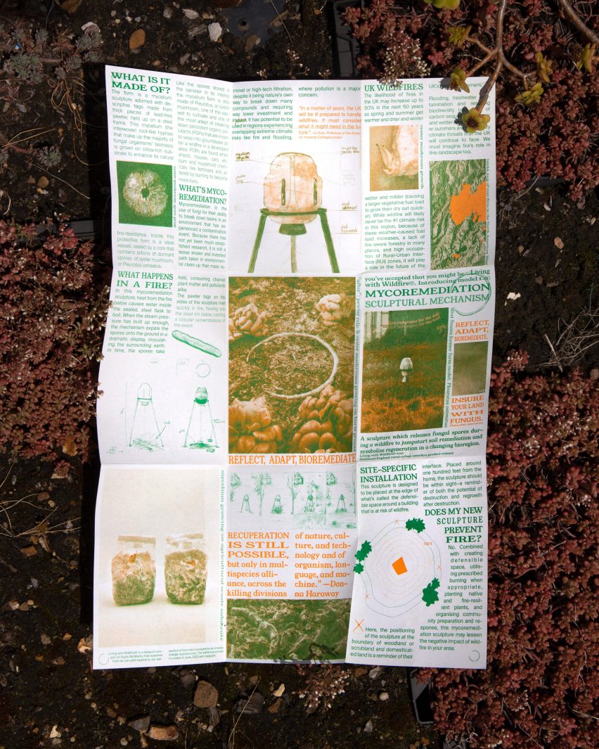 Pamphlet for Living with Wildfire system by Close-up of mycelium pod by Suzie McMurtry