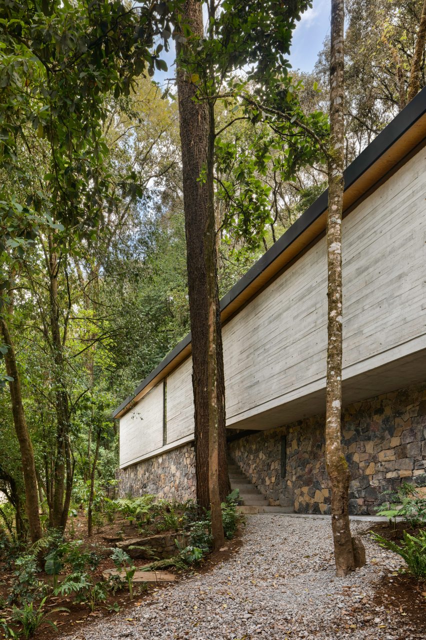 CF Taller de Arquitectura and Merodio Arquitectos