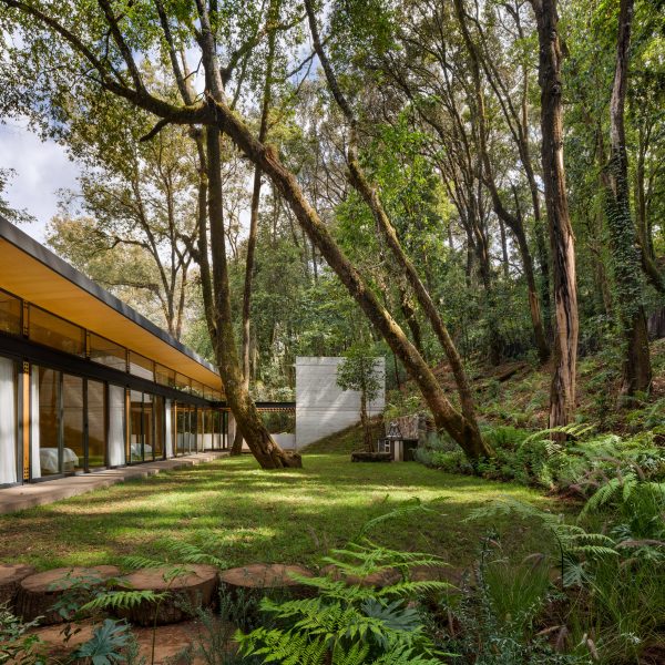 Backyard of mass-timber home in Valle de Bravo