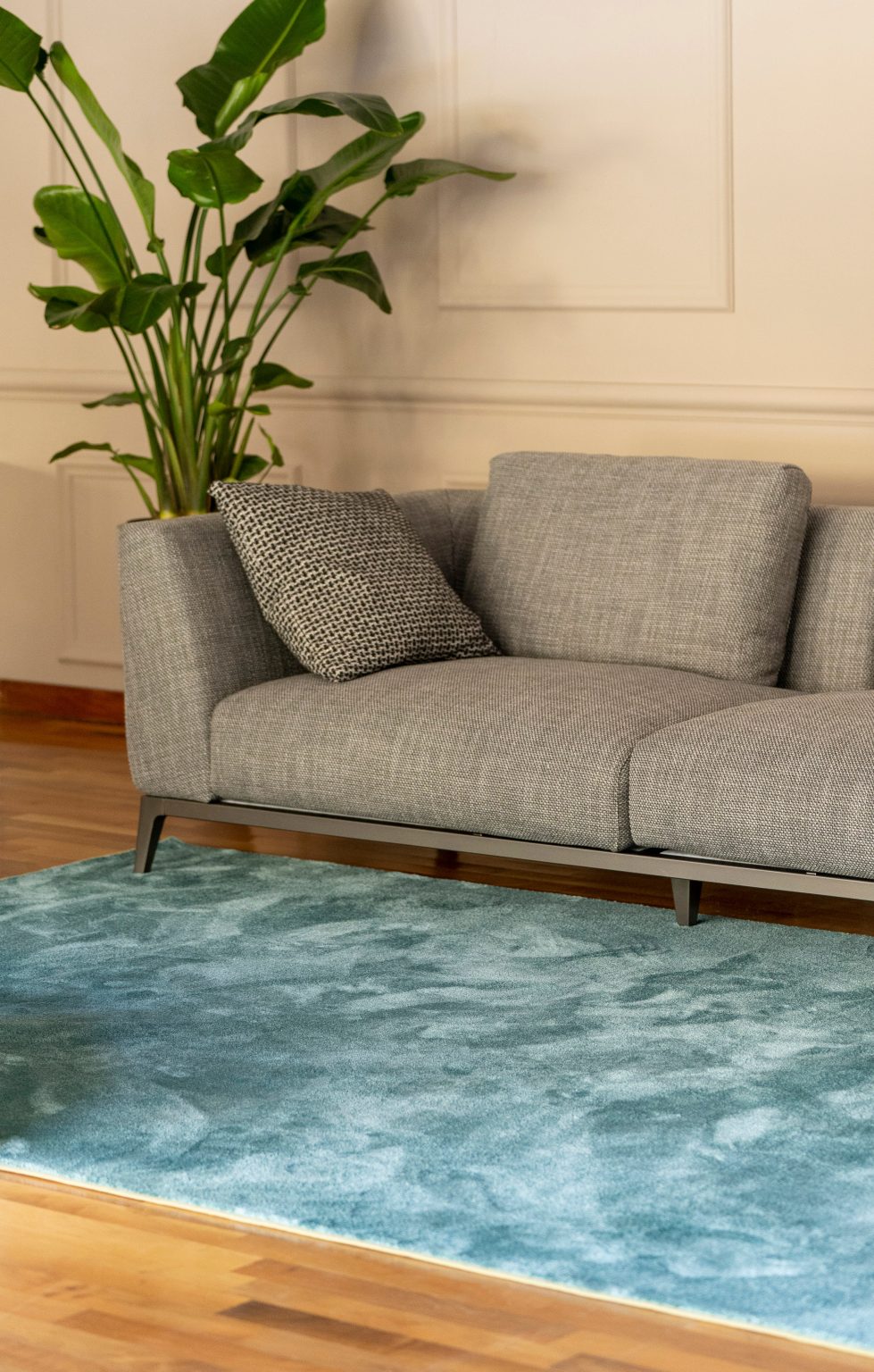 Cloe rug in teal