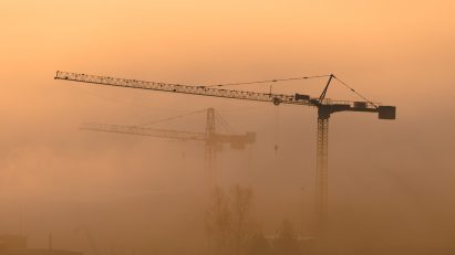 Cranes in mist