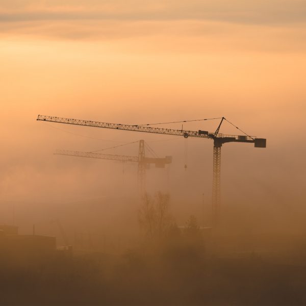 Cranes in mist