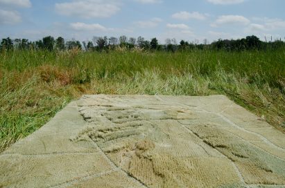 The Dryland rug photographed in a Dutch field