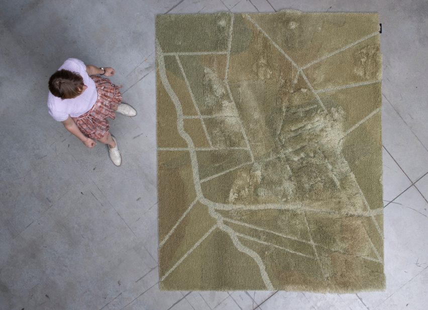 Aerial photo of the Dryland rug showing pattern of canals in grassy fields