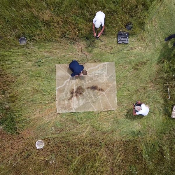 Liselot Cobelens' Dryland rug