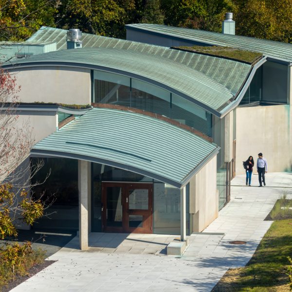 Steven Holl Architects designs asymmetric Princeton institute building with curved ceilings