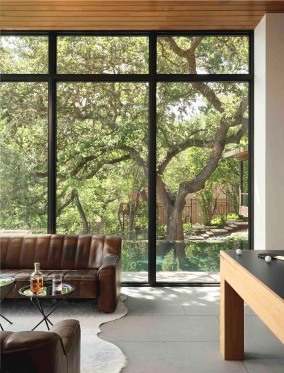 Trees through glazing of Texas Lake house