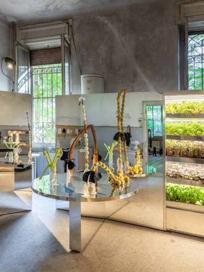 Decorative potato installation at design exhibition