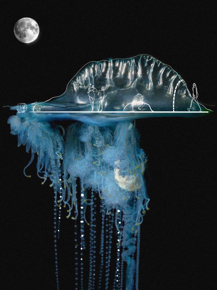 Futuristic jellyfish-looking visualisation on black background