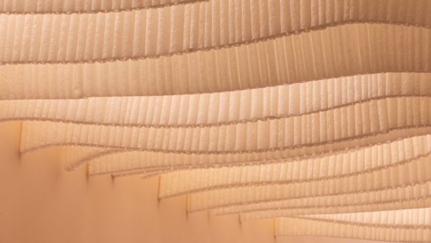 Nina+Co brings biomaterials into MONC eyewear store in London