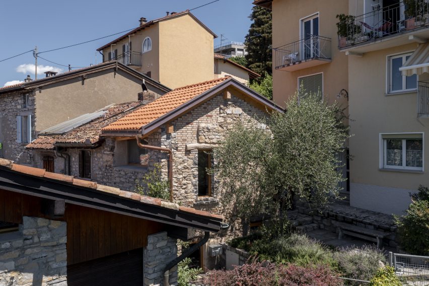 Olive tree in front of facade of Rustic Renovation by Enrico Sassi