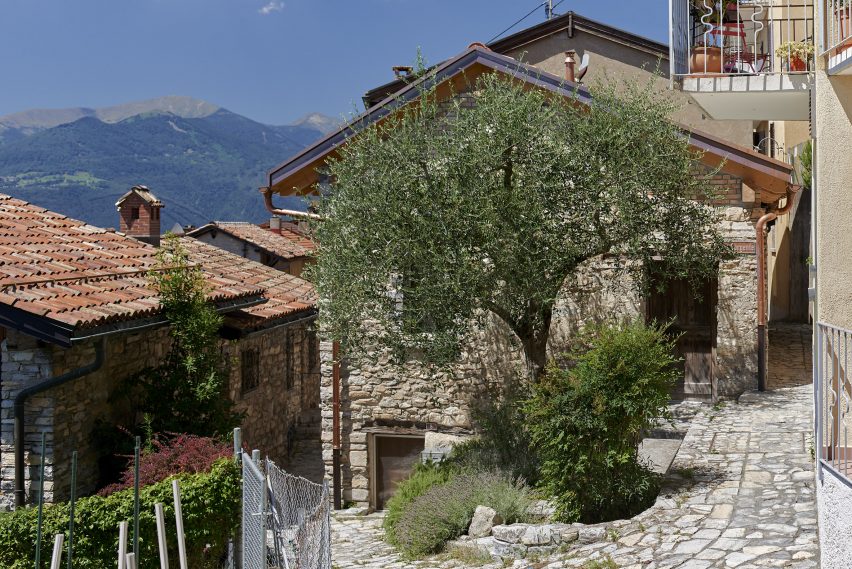 Olive tree in front of facade of Rustic Renovation by Enrico Sassi