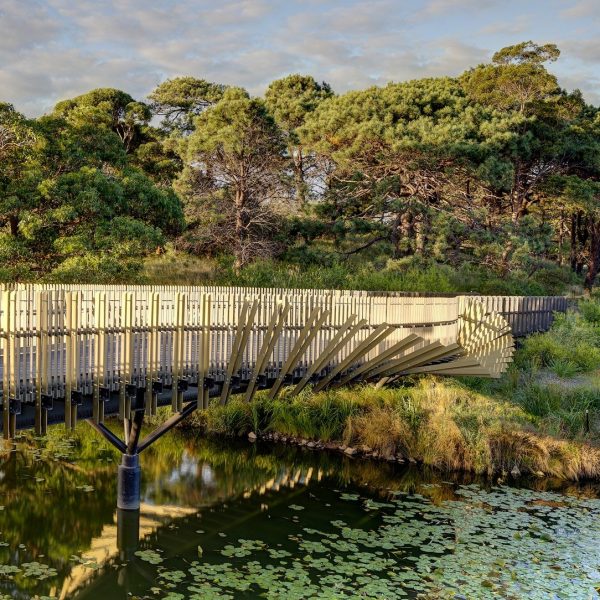 Dezeen Debate features Sam Crawford Architects’ “broken” eel-shaped bridge in Sydney