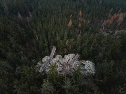 Watchtowers on a cliff in a forest