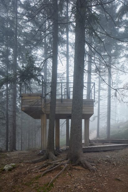 Wooden platform in a misty forest by Mjölk Architekti