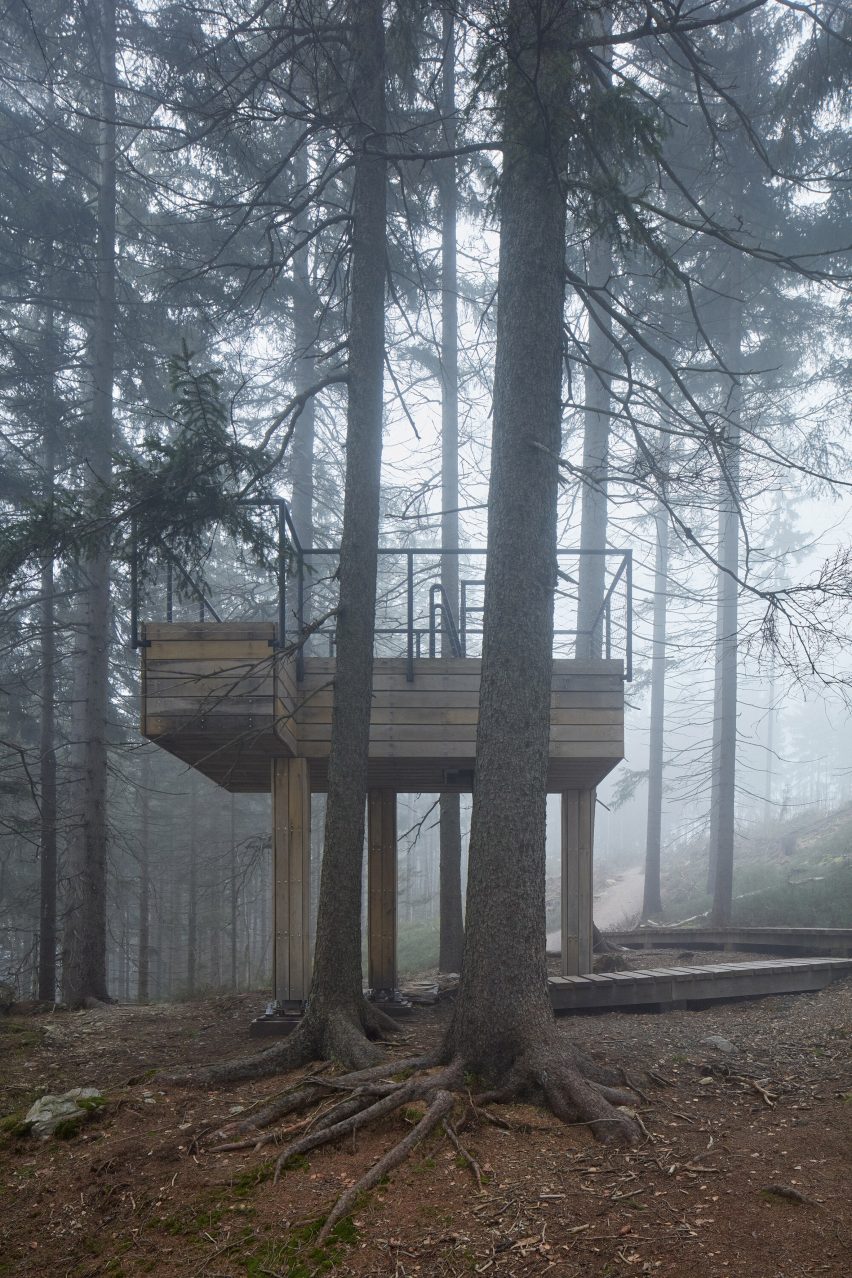 Wooden platform in a misty forest