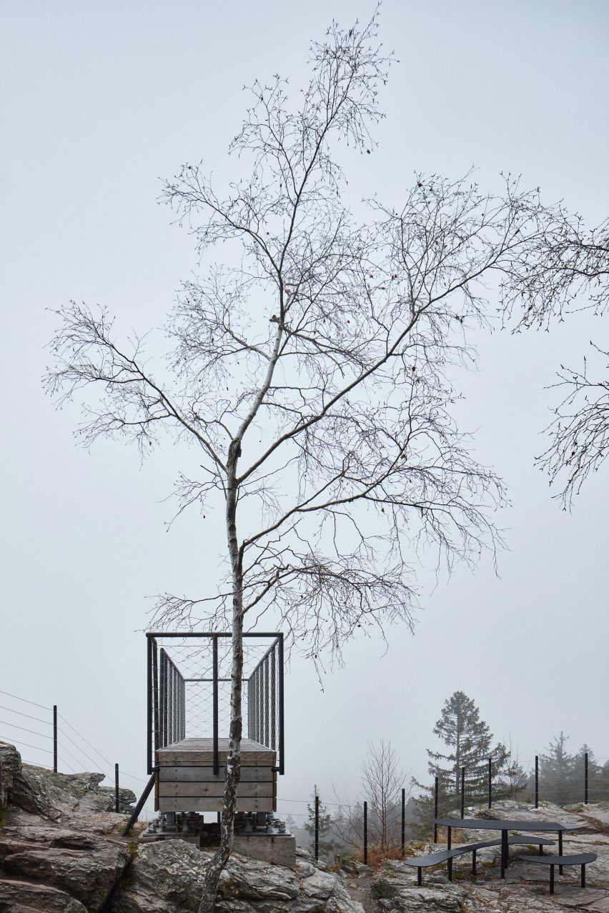 Viewpoint in front of a tree