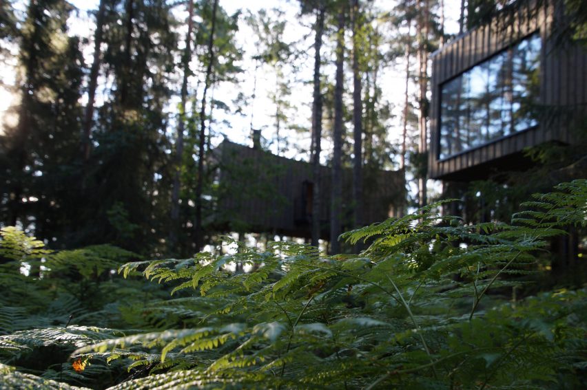 Exterior of Trakt Forest Hotel by Wingårdhs