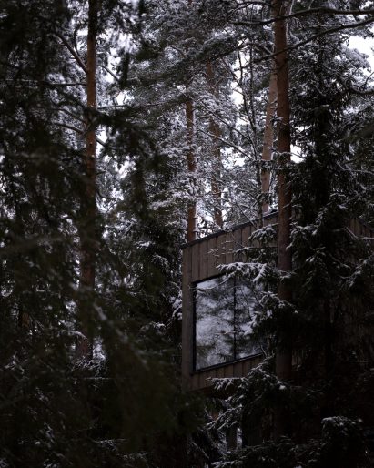 Glimpse of Trakt Forest Hotel suite through trees