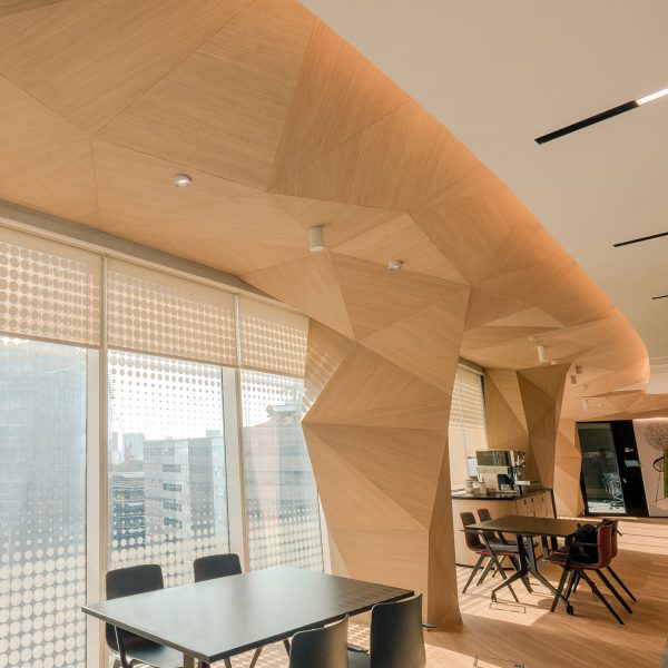 Image of the acoustic timberix panels