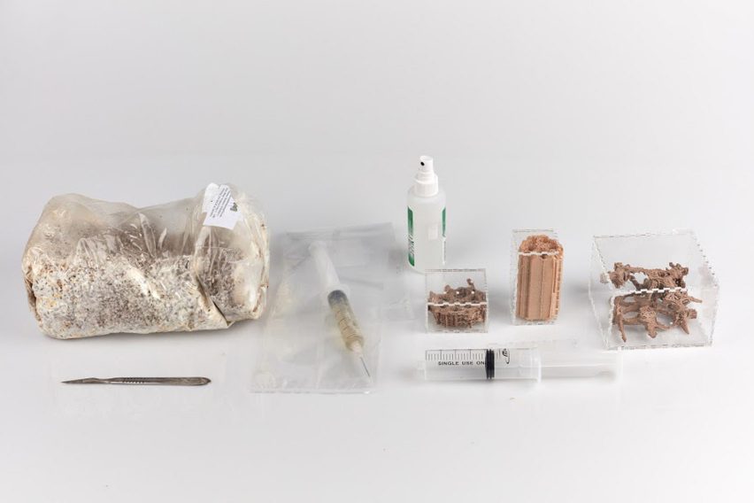 BioLab Studio mycelium design project