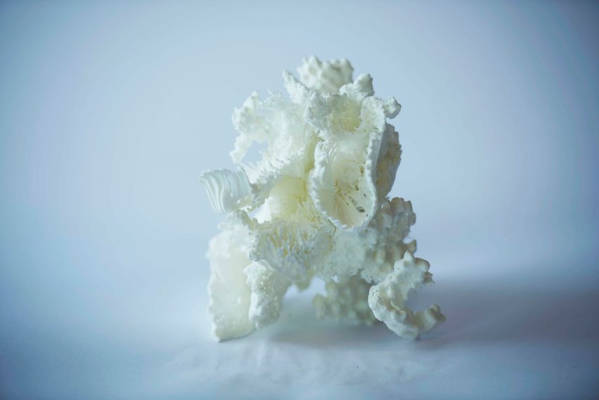 BioLab Studio mycelium design project