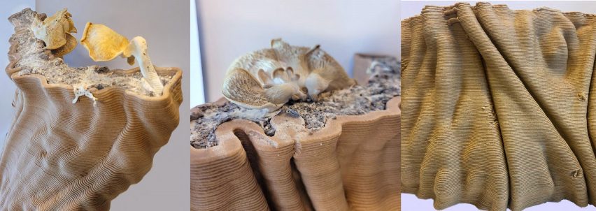 BioLab Studio mycelium design project