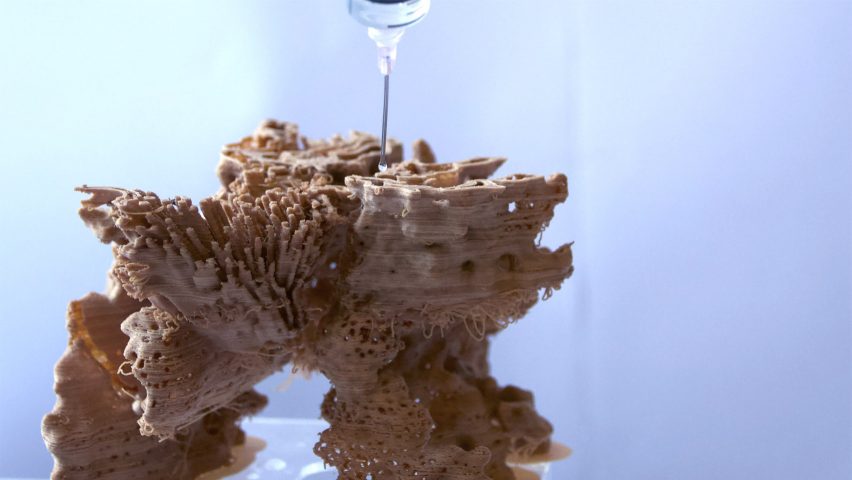 BioLab Studio mycelium design project