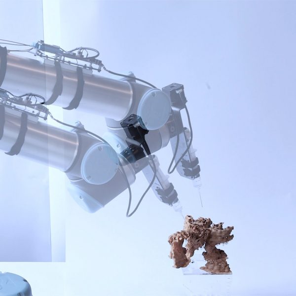 Mycelium cultivated with robot arm