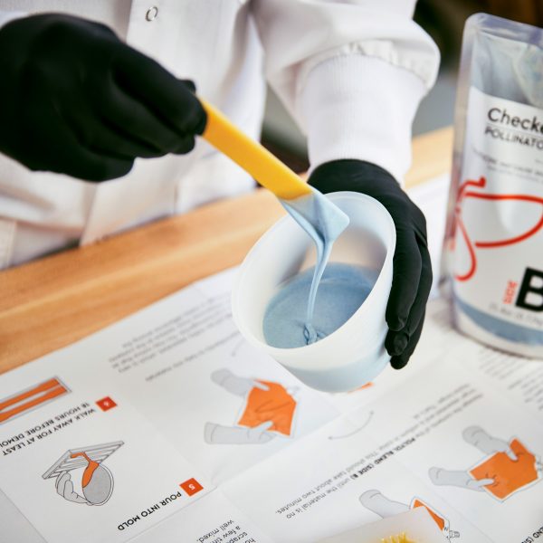 Algae-based plastics kit