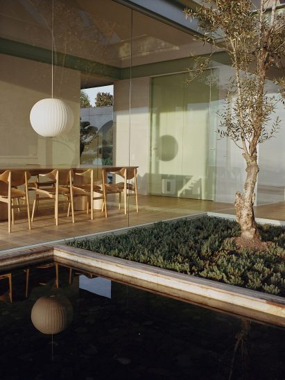 Courtyard with tree and dining room