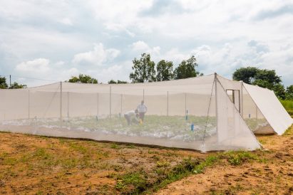 Greenhouse-in-a-box by Kheyti from 2022 Earthshot Prize winners