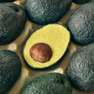 Ecovado by Arina Shokouhi from roundup of best product designs 2022