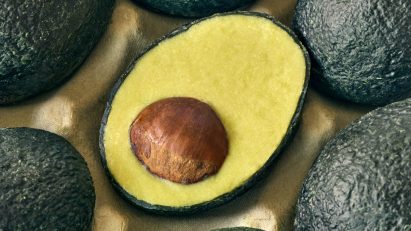 Ecovado by Arina Shokouhi from roundup of best product designs 2022